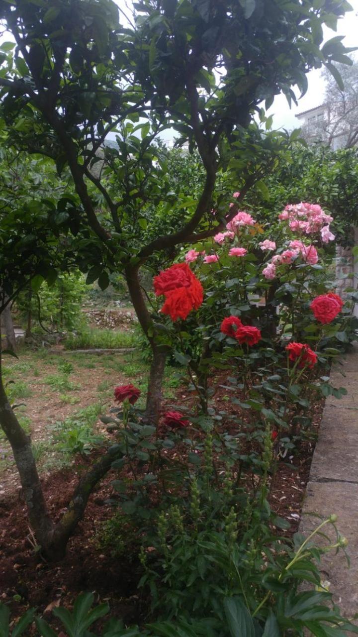 סבטי סטפן Hana Accommodation מראה חיצוני תמונה